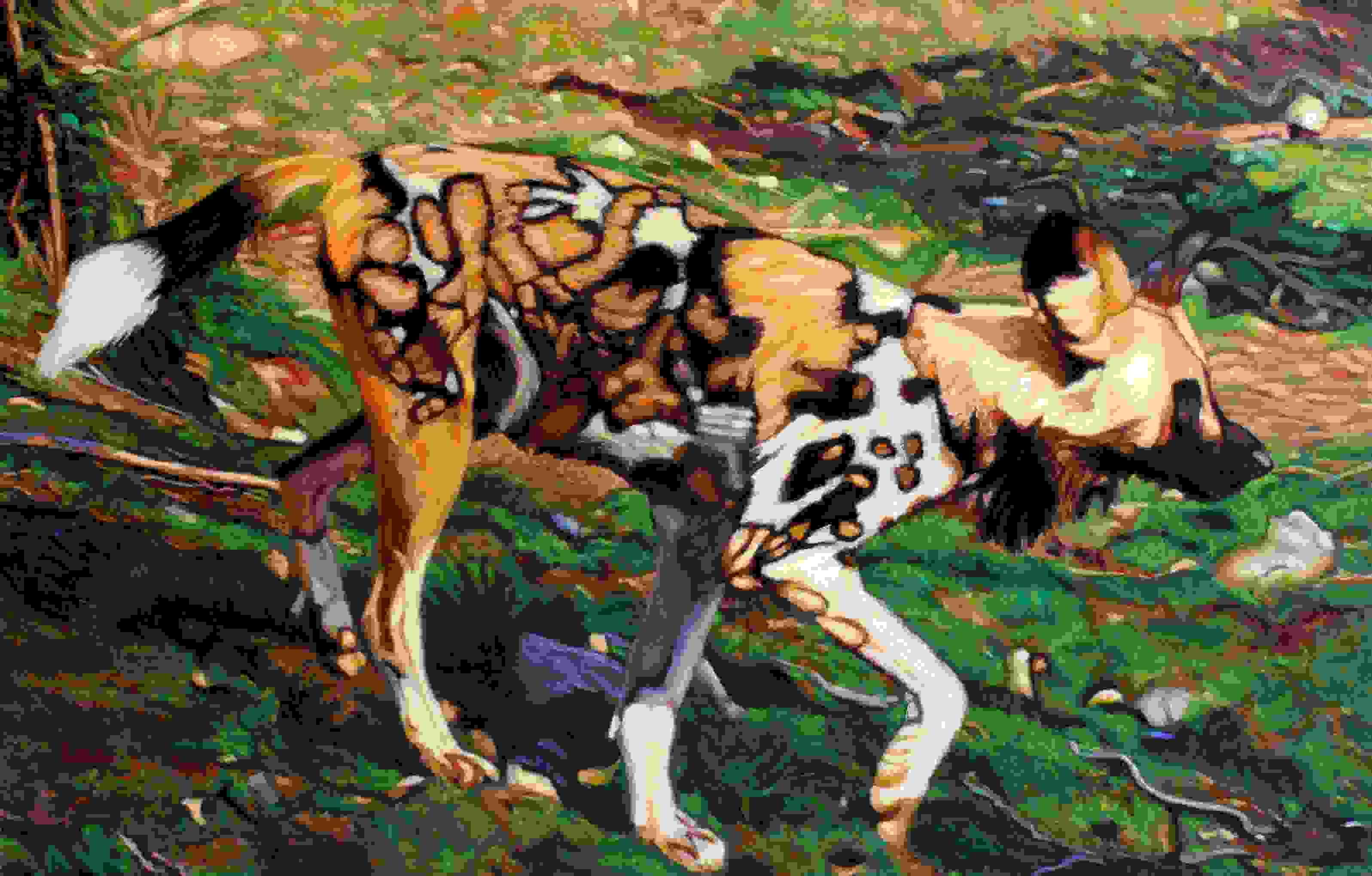 African Wild Dog